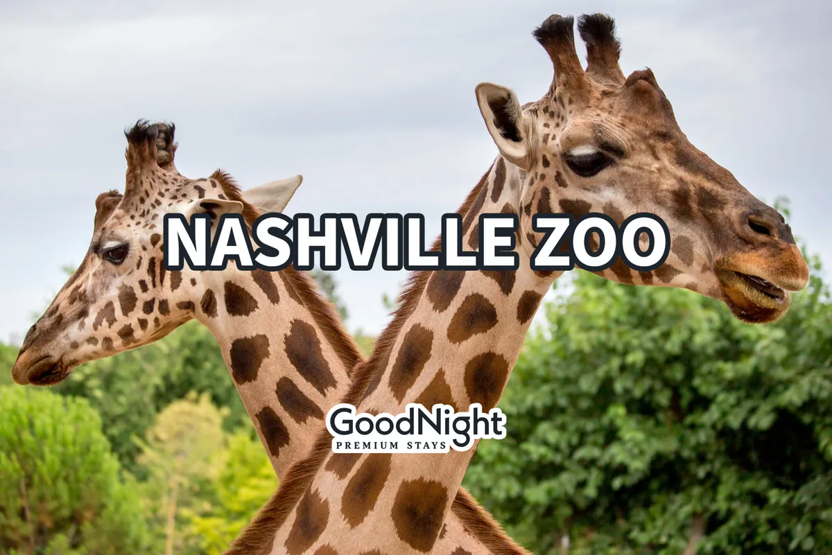 A joyful exterior shot at the Nashville Zoo, showing giraffes amidst lush greenery. The mood is playful and educational, ideal for family outings and close encounters with animals.